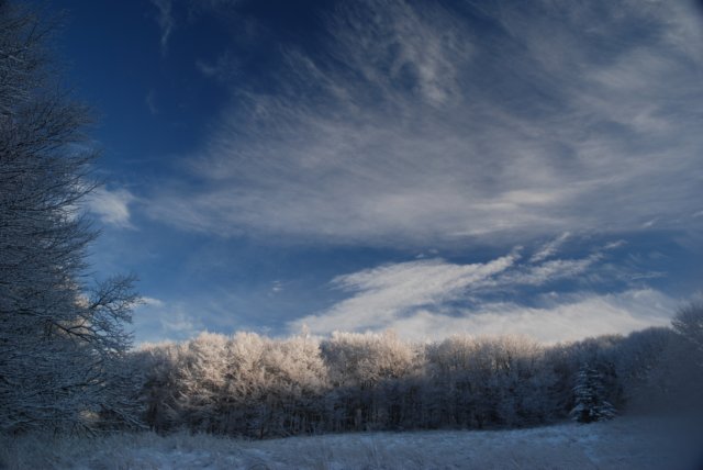 bieszczady20102011.jpg