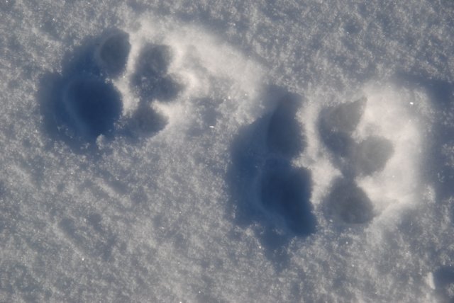 bieszczady2010201116.jpg