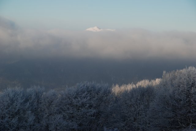 bieszczady201020112.jpg