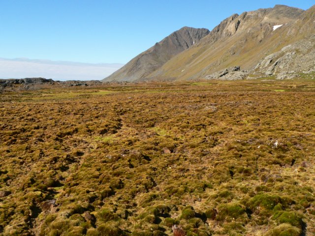 svalbard201118.jpg