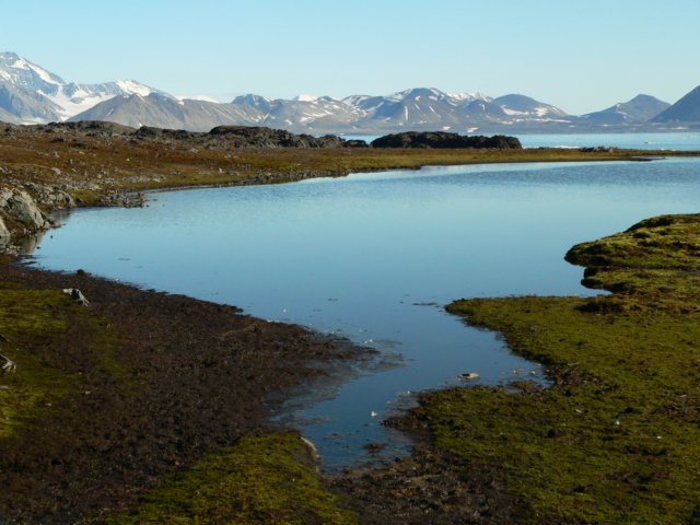 svalbard201119.jpg