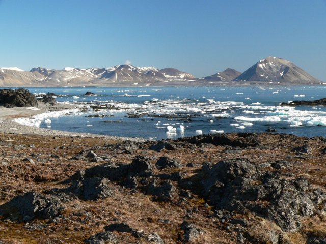 svalbard201120.jpg