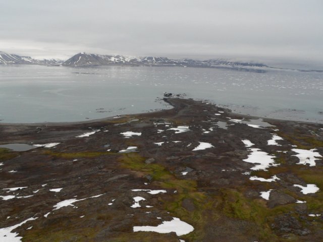 svalbard20114.jpg