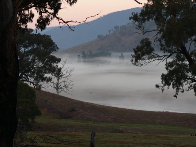 alpinenationalparkvictoriaaustralia11.jpg