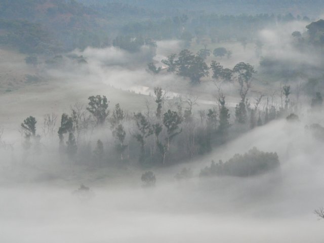 alpinenationalparkvictoriaaustralia14.jpg