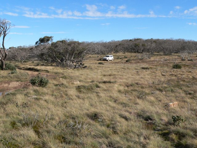 alpinenationalparkvictoriaaustralia2.jpg