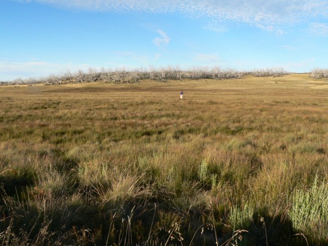 alpinenationalparkvictoriaaustralia4.jpg