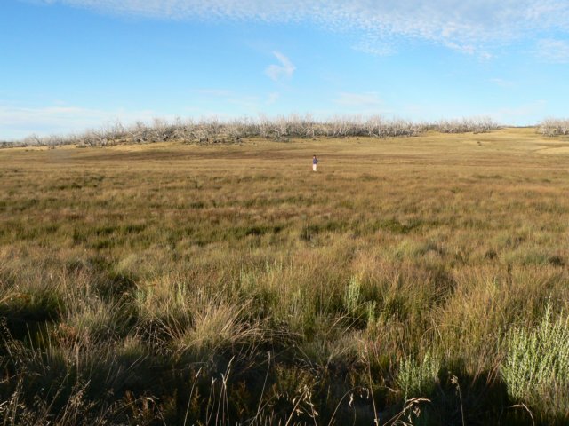 alpinenationalparkvictoriaaustralia4.jpg