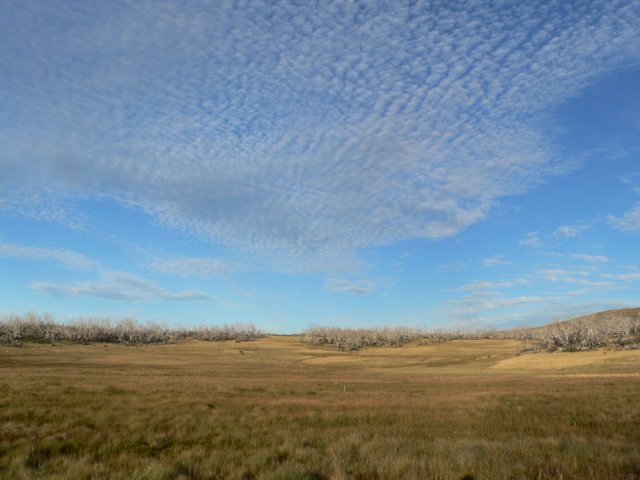 alpinenationalparkvictoriaaustralia6.jpg