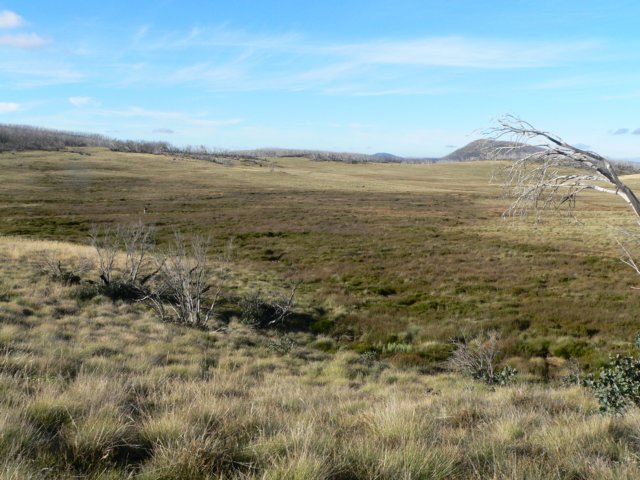 alpinenationalparkvictoriaaustralia7.jpg