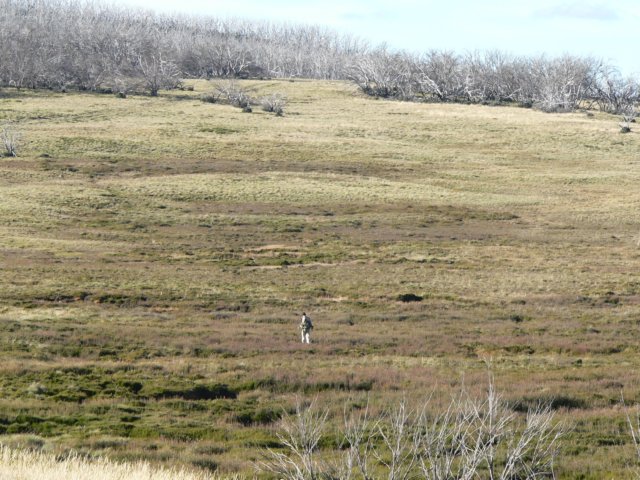 alpinenationalparkvictoriaaustralia8.jpg